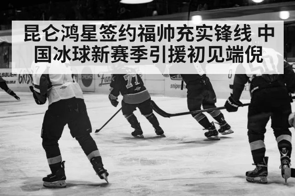 ice hockey action