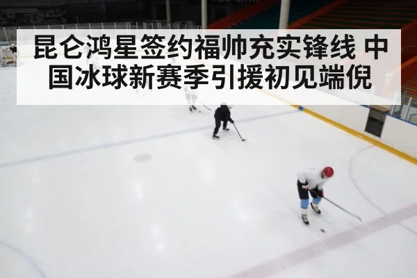 ice hockey rink